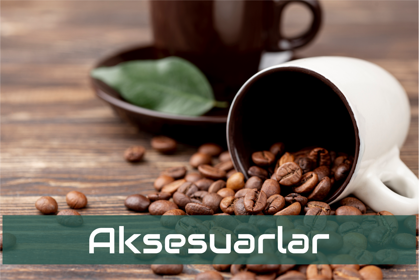 Aksesuarlar
